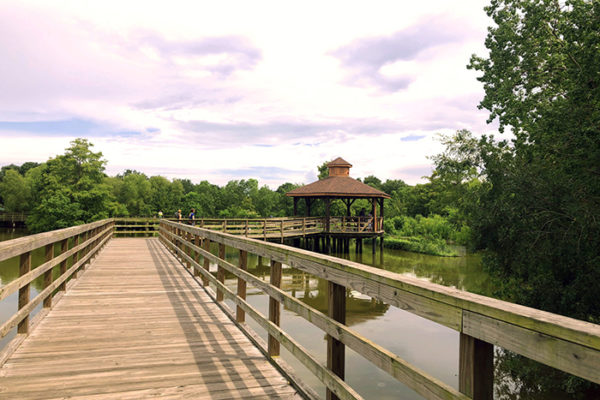 Lafreniere Park Bird Sanctuary