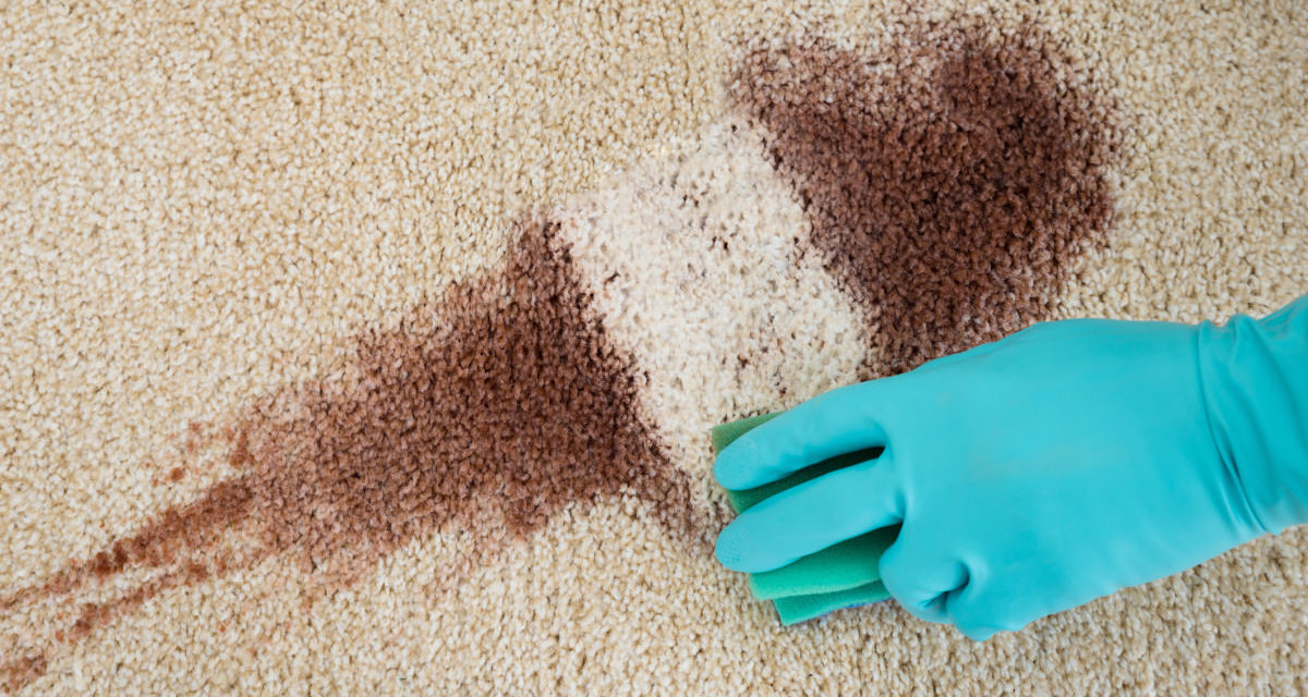 DIY Carpet Cleaning Solutions