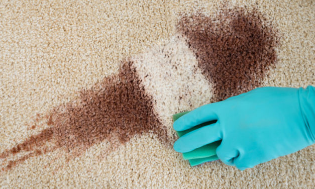 DIY Carpet Cleaning Solutions